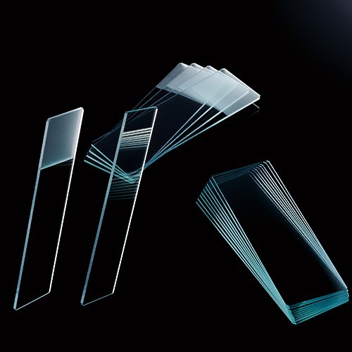 Microscope Slides Microscope Slides