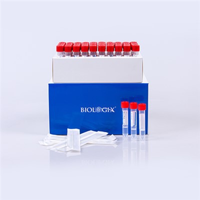 Souprava stolice Genomic DNA (Spin Column)