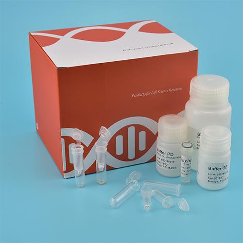 Kit pro bakteriální genomickou DNA (kolona Spin)