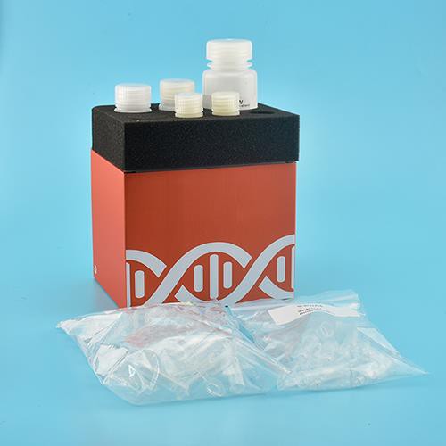 Gelová purifikační DNA souprava (kolona)
