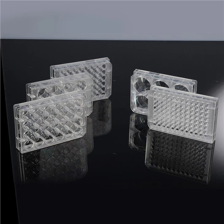 6/12/24/36/48/96-Well TC Treated Cell Culture Plates